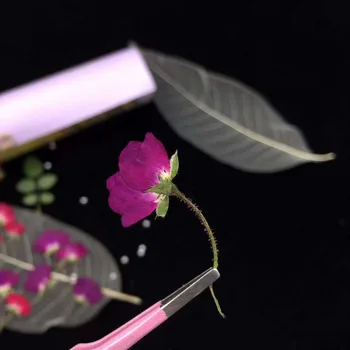 12pcs Strane Stlačené Sušené Fialové Ruže, Kvety Rastlín Herbarium Pre Šperky Pohľadnicu, Pozvanie na Kartu Telefón Prípade Záložku urob si sám