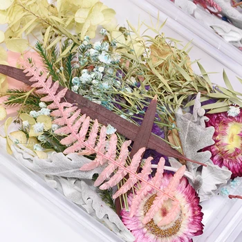 1box 17X12X3cm Mix Reálne Sušených Kvetov, Prírodné Kvetinové DIY Umelecké Remeslo Scrapbooking Živice Šperky Čo Epoxidové Formy Plnenie Dodávky