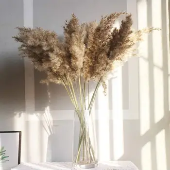 Nové Veľké Reed 55 cm Reálne Pampas Trávy kyticu Dekor Sušených Kvetov, Rastlín Domova Remesiel Strany Svadobné Kytice Ozdoby
